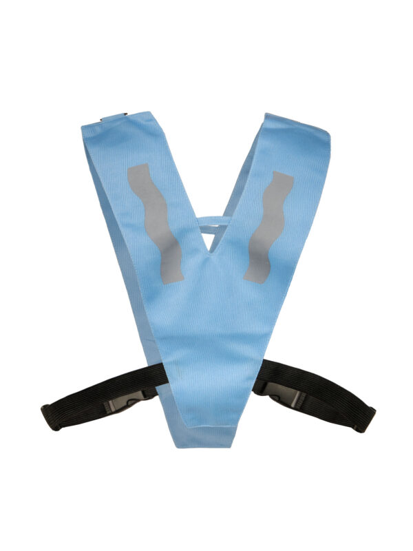 lightblue